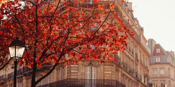 ODEURS D’AUTOMNE